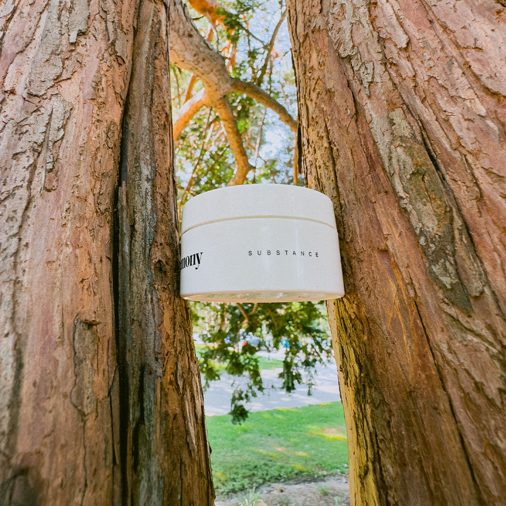 Ceremony Substance Shaping Clay can stuck in between two tree trunks